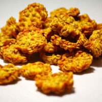 Figues de barbarie Bio en rondelles orange