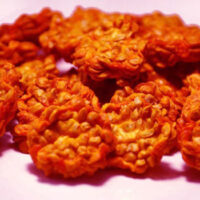 Figues de barbarie Bio en rondelles rouge