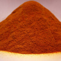 Figues de barbarie Bio rouge en poudre