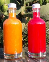 purée figues de barbarie orange et rouge biopuntia